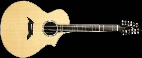 Breedlove-Northwest-Classic-12.jpg (500x203 -- 19965 bytes)